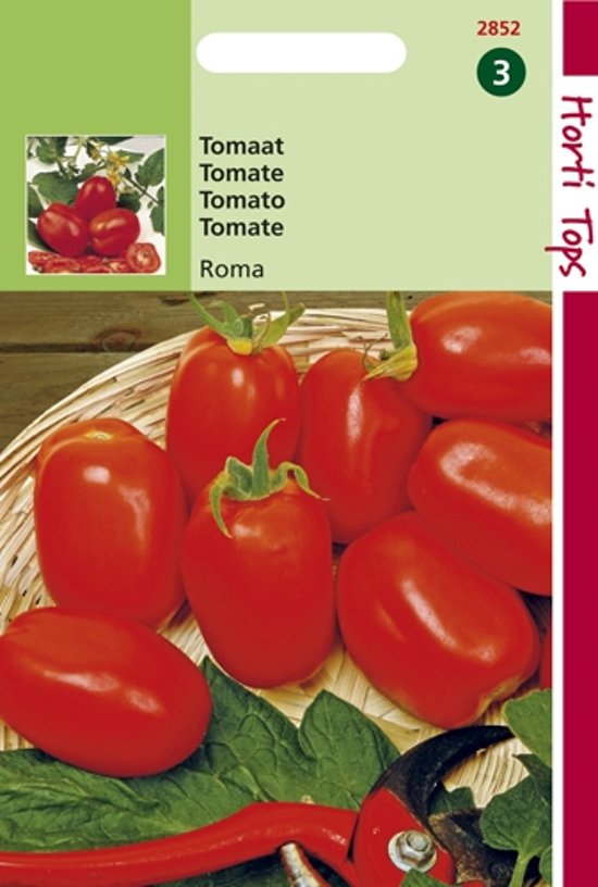Tomaat Roma (Solanum) 750 zaden HT